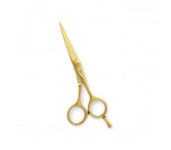 Professional Hair Cutting Scissors